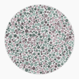 Preview of plate blank_10