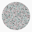 Preview of plate blank_15