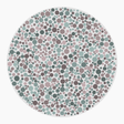 Preview of plate blank_17