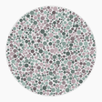 Preview of plate blank_20
