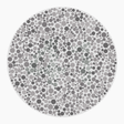 Preview of plate color_deutan_s006_n41