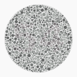 Preview of plate color_deutan_s006_n54