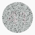 Preview of plate color_deutan_s010_n41