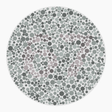Preview of plate color_deutan_s010_n67