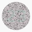 Preview of plate color_deutan_s016_n23