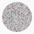 Preview of plate color_deutan_s016_n41