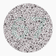 Preview of plate color_deutan_s016_n67
