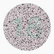 Preview of plate color_deutan_s026_n18