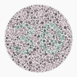 Preview of plate color_deutan_s026_n30