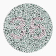 Preview of plate color_deutan_s026_n36