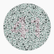 Preview of plate color_deutan_s026_n41