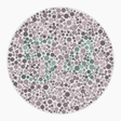Preview of plate color_deutan_s026_n54