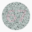 Preview of plate color_deutan_s026_n67