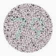 Preview of plate color_deutan_s026_n79