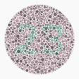 Preview of plate color_deutan_s040_n23