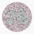 Preview of plate color_deutan_s040_n36