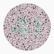 Preview of plate color_deutan_s040_n41