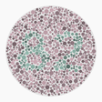 Preview of plate color_deutan_s040_n82
