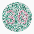 Preview of plate color_deutan_s080_n30