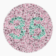 Preview of plate color_deutan_s080_n36