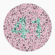 Preview of plate color_deutan_s080_n41