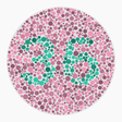 Preview of plate color_deutan_s120_n36