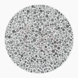 Preview of plate color_protan_s006_n18