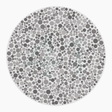 Preview of plate color_protan_s006_n41