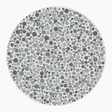 Preview of plate color_protan_s006_n79