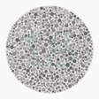 Preview of plate color_protan_s010_n18