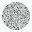 Preview of plate color_protan_s010_n41