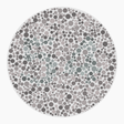 Preview of plate color_protan_s010_n54