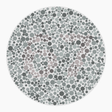 Preview of plate color_protan_s010_n67