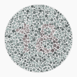 Preview of plate color_protan_s016_n18