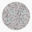 Preview of plate color_protan_s016_n23