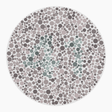 Preview of plate color_protan_s016_n41