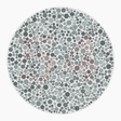 Preview of plate color_protan_s016_n54
