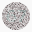 Preview of plate color_protan_s016_n67