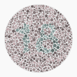 Preview of plate color_protan_s026_n18