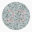 Preview of plate color_protan_s026_n23