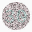 Preview of plate color_protan_s026_n30