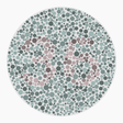 Preview of plate color_protan_s026_n36