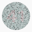 Preview of plate color_protan_s026_n41