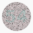 Preview of plate color_protan_s026_n54