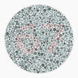 Preview of plate color_protan_s026_n67