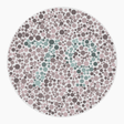 Preview of plate color_protan_s026_n79