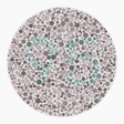 Preview of plate color_protan_s026_n95