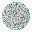 Preview of plate color_protan_s040_n18