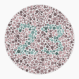 Preview of plate color_protan_s040_n23