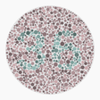 Preview of plate color_protan_s040_n36